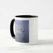 Gloucester, Massachusetts, USA Tasse (Vorderseite Links)