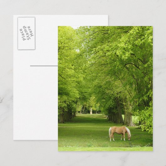 Gloucestershire, UK Postkarte (Vorne/Hinten)