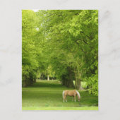 Gloucestershire, UK Postkarte (Vorderseite)