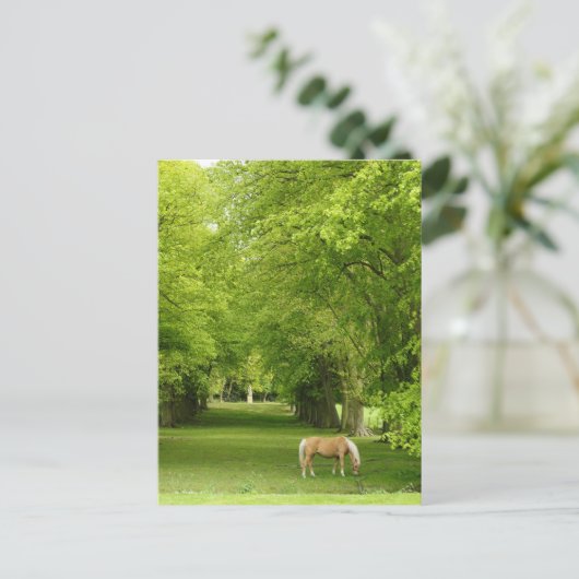 Gloucestershire, UK Postkarte (Stehend Vorderseite)