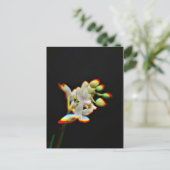 Glow Effect der orchid-Blume Postkarte (Stehend Vorderseite)