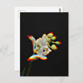 Glow Effect der orchid-Blume Postkarte (Vorne/Hinten)