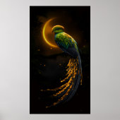 Glow of the Night Feather Poster (Vorne)
