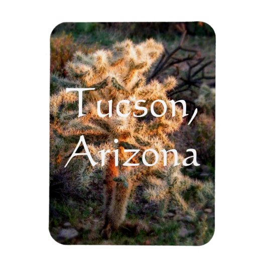 Glowcholla Tucson, Arizona Magnet (Vertikal)
