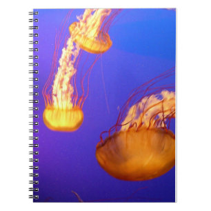 GLOWING JELLYFISH SPIRAL BOUND NOTEBOOK NOTIZBLOCK