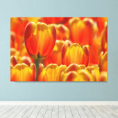 GLOWING TULIPS 32x48 Leinwanddruck (Insitu (Holzboden))