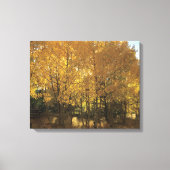 Glows Aspen Trees Wilkerson Pass Colorado Leinwanddruck (Vorderseite)