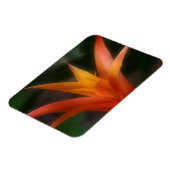 Glows Bromeliad Magnet (Linke Seite)