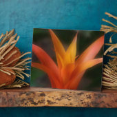 Glows Bromeliad Plaque Fotoplatte (Seite)