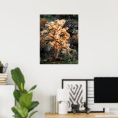 Glows Cholla Poster (Heimbüro)