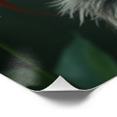 Glows Dragon Fairy Art Poster (Ecke)