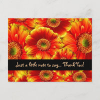 Glows Gerbera Daisies Danke YOu