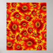 Glows Gerbera Daisies Poster (Vorne)