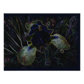 Glows Iris Fotodruck (Vorne)