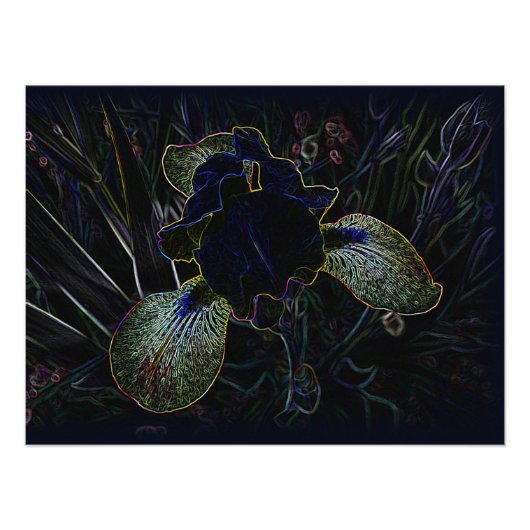 Glows Iris Fotodruck (Vorne)
