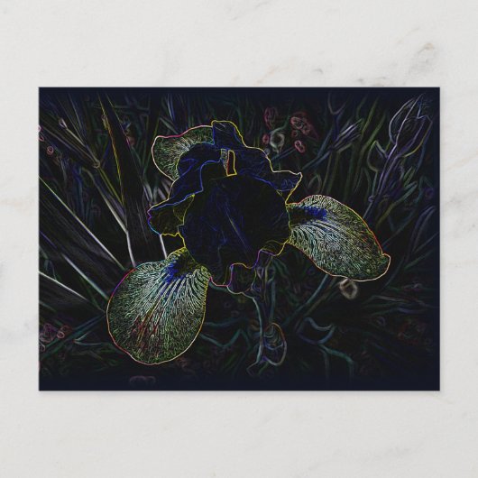 Glows Iris Postkarte (Vorderseite)