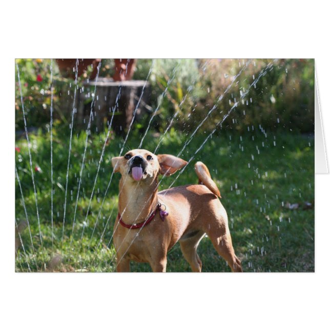 Glück (Vorderseite (Horizontal))