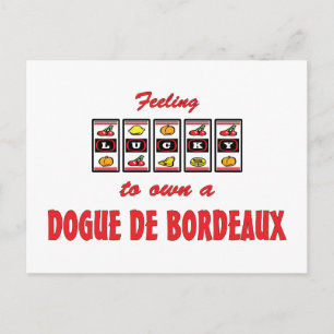 Glück beim Entwurf eines Dogue de Bordeaux Fun Dog Postkarte