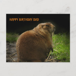 GLÜCK BIRTHDAY VATER Woodchuck Groundhog Picture Postkarte