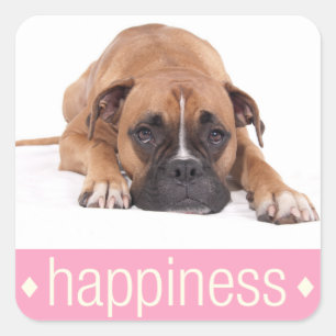 Glück Boxer Welpe Hund Gruß Aufkleber
