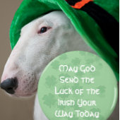 Glück der Iren Magnet