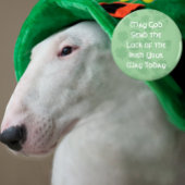 Glück der Iren Magnet