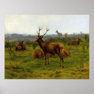 Glück - Der Monarch Des Rudels Poster