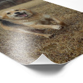 Glück Fotodruck (Ecke)