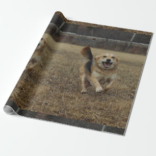 Glück Geschenkpapier