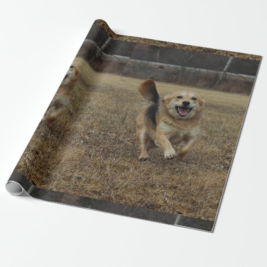 Glück Geschenkpapier (Ungerollt)