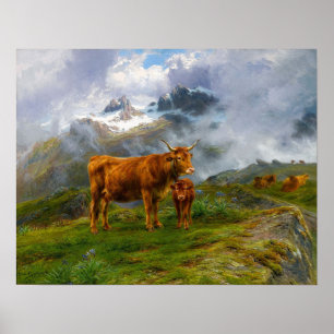 Glück - Highland-Rinder Poster