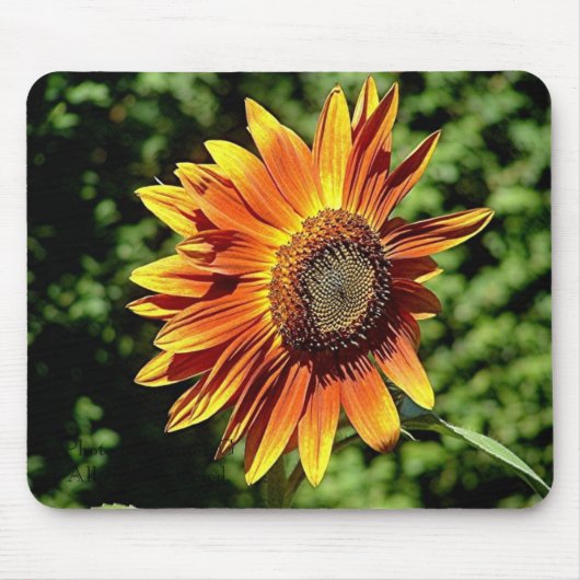 "Glück in der Orange " Mousepad (Vorne)