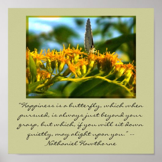 Glück ist ein gerahmter Butterfly-Druck Poster (Vorne)