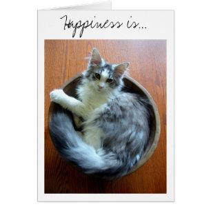 Glück ist eine Schüssel voll der Kätzchenkarte