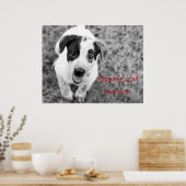 Glück ist um mich herum poster (Küche)