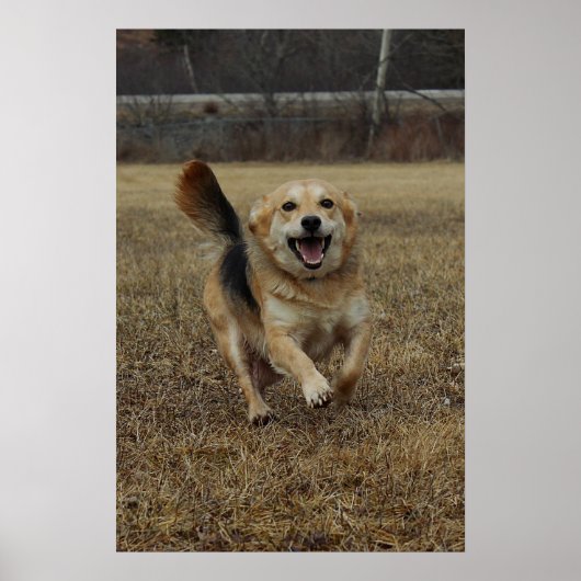 Glück Poster (Vorne)