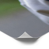 Glück Poster (Ecke)