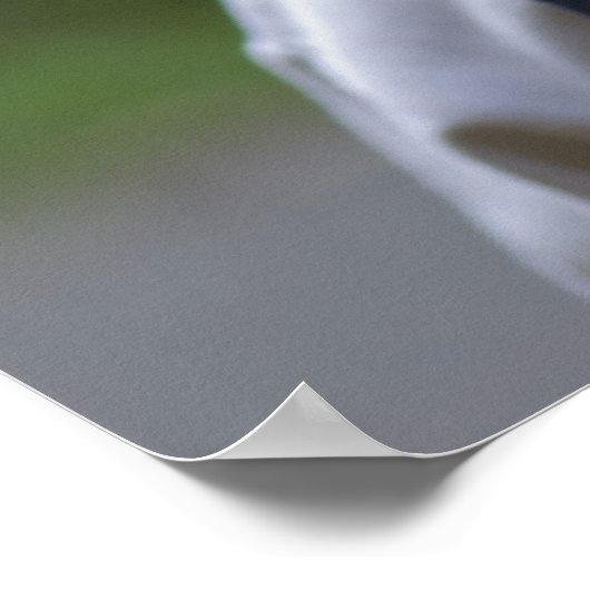 Glück Poster (Ecke)