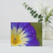 Glück Postkarte (Stehend Vorderseite)