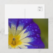 Glück Postkarte (Vorne/Hinten)