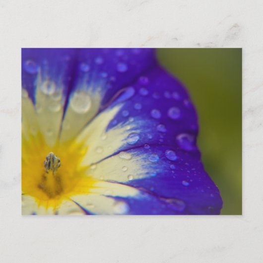 Glück Postkarte (Vorderseite)