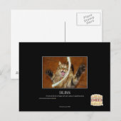 Glück Postkarte (Vorne/Hinten)