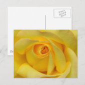 Glück_ Postkarte (Vorne/Hinten)