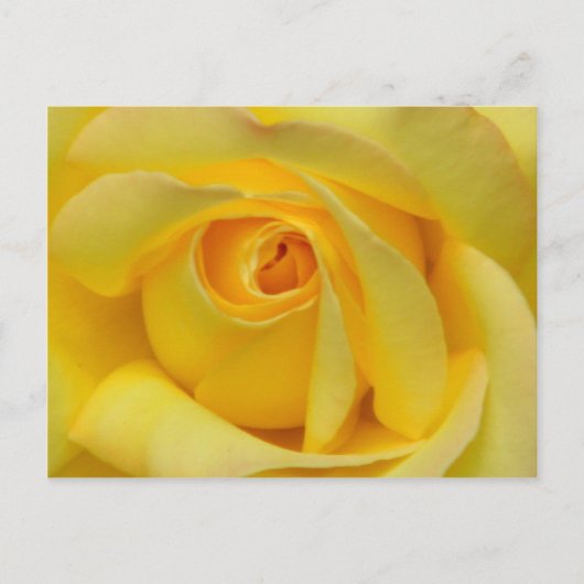 Glück_ Postkarte (Vorderseite)