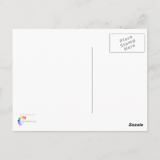 Glück Postkarte (Rückseite)