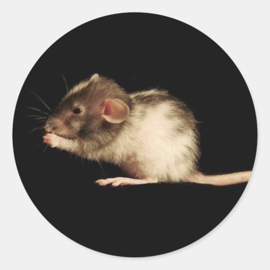 Glück Runder Aufkleber (Vorderseite)