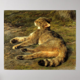 Glück - Wildkatze Poster