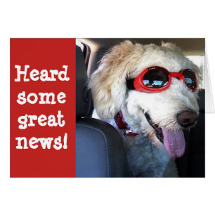 GLÜCKLICH **5Oth*** GROSSE NACHRICHTEN FÜR SICHER!