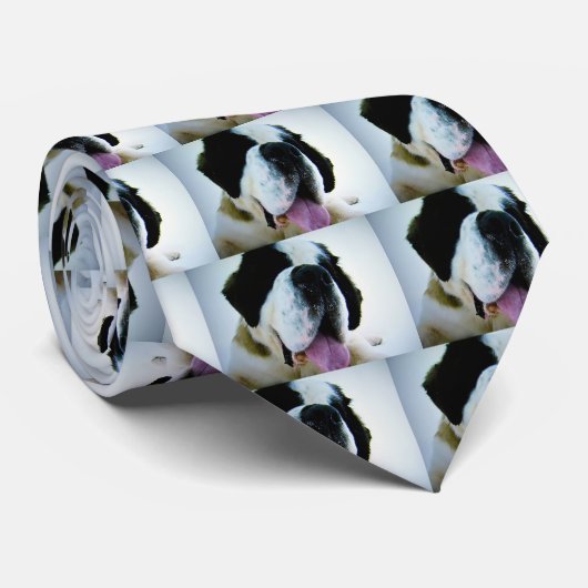 GLÜCKLICH. BERNARD-KRAWATTE KRAWATTE (Gerollt)