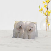 Glücklich Bichons! Karte (Gelbe Blume)